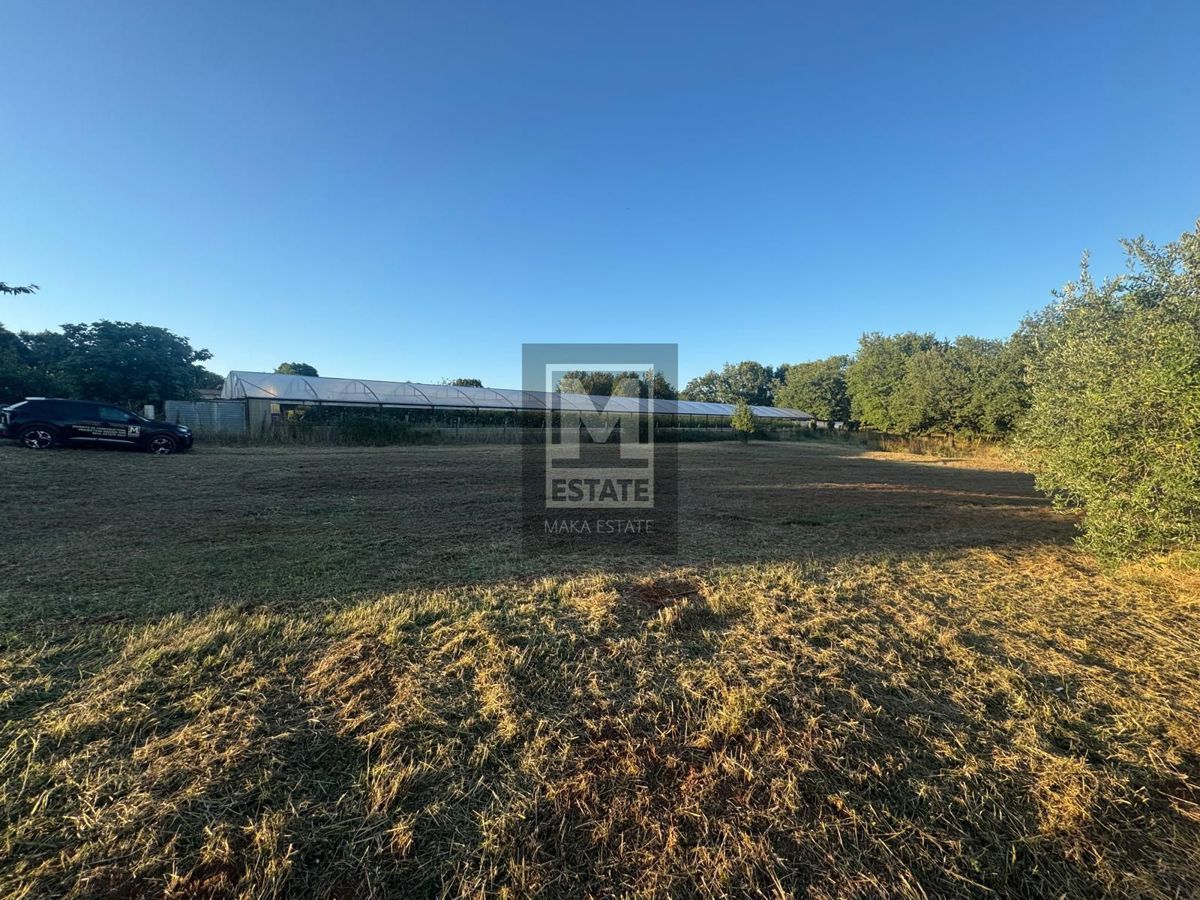 Villa con piscina a Kaštelir-Tadini!