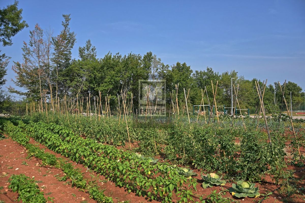 Parenzo, dintorni, lussuosa villa in pietra nel cuore dell'Istria
