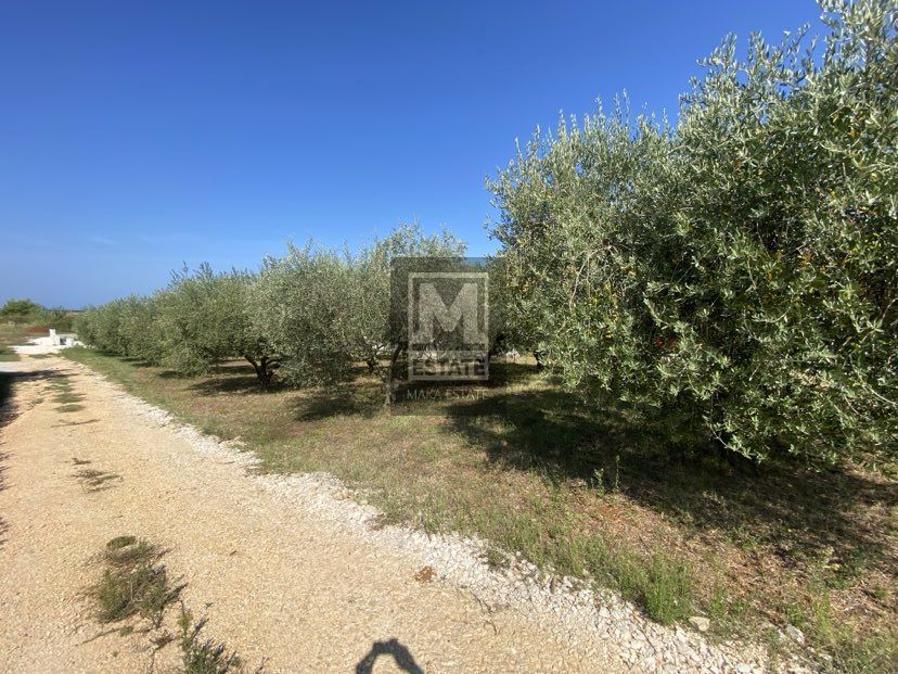 Orsera, dintorni, Casa con vista mare!