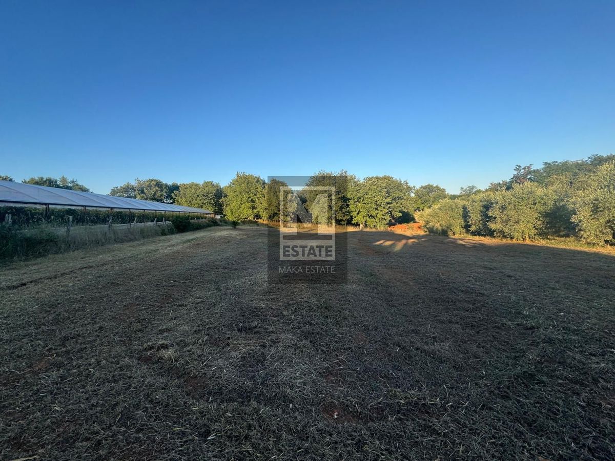 Kaštelir-Tadini, Ampio terreno con licenza edilizia e terreno agricolo!  In vendita un terreno con una superficie totale di 3.288 m², di cui 1.188 m² edificabili e i restanti 2.100 m² agricoli. La posizione è tranquilla, a soli 9 km dalla città di Pa