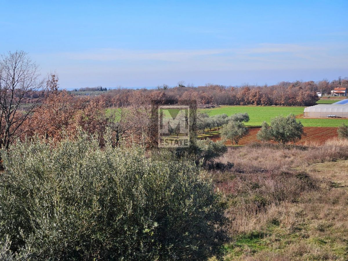 Parenzo, dintorni, ottimo duplex con vista mare!