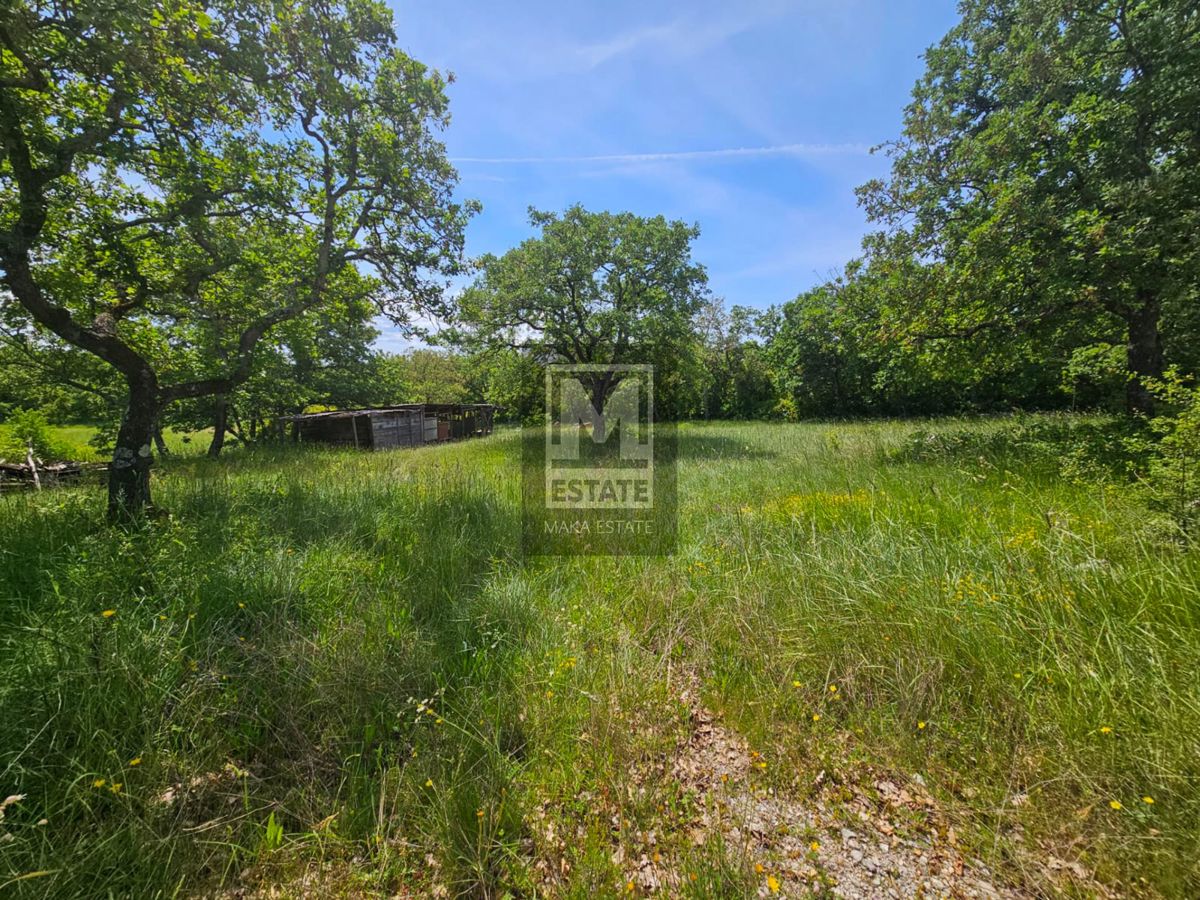 Istria, Umago, dintorni, terreno edificabile