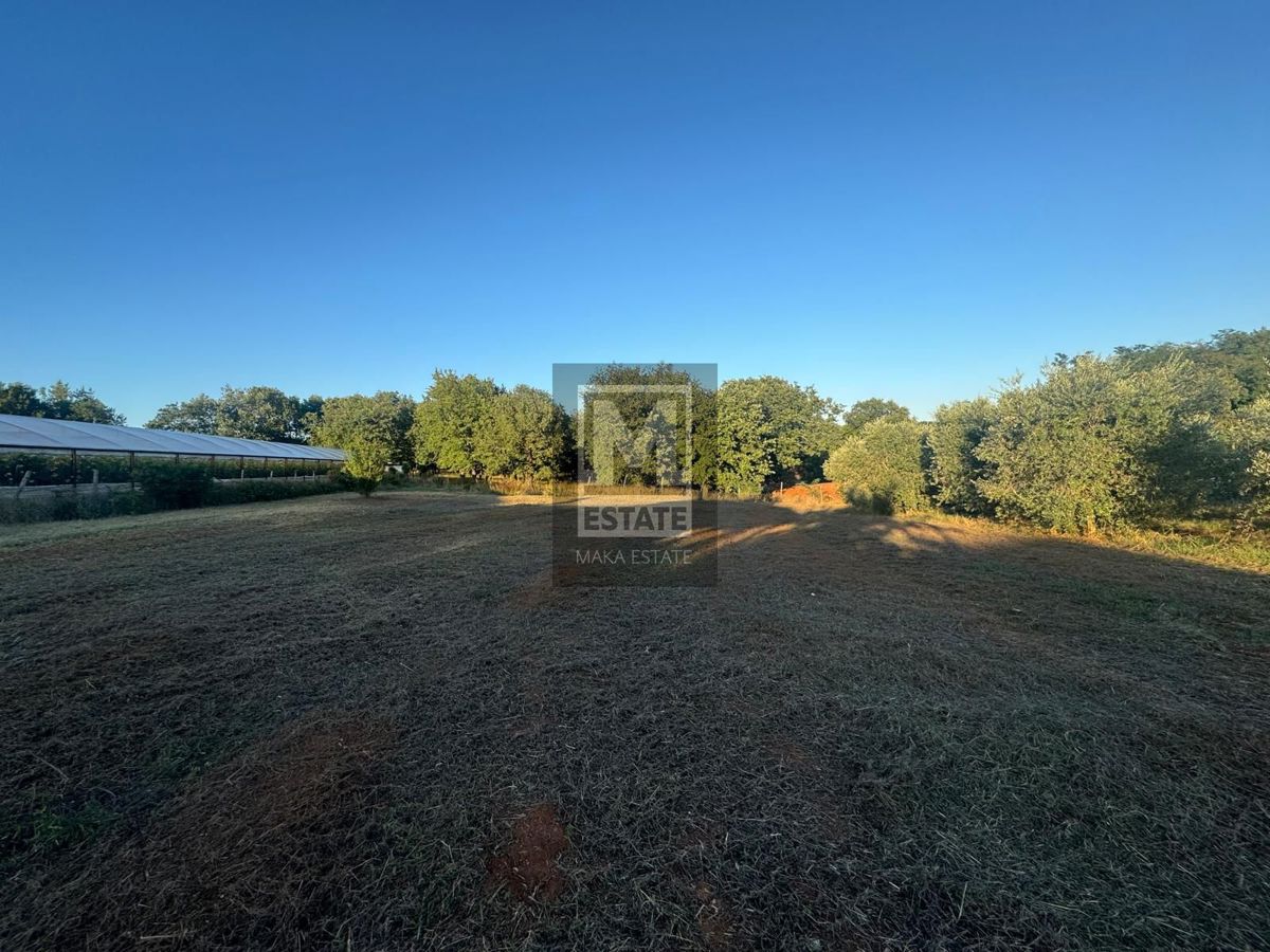 Kaštelir, Tadini - Terreno con permesso di costruzione!