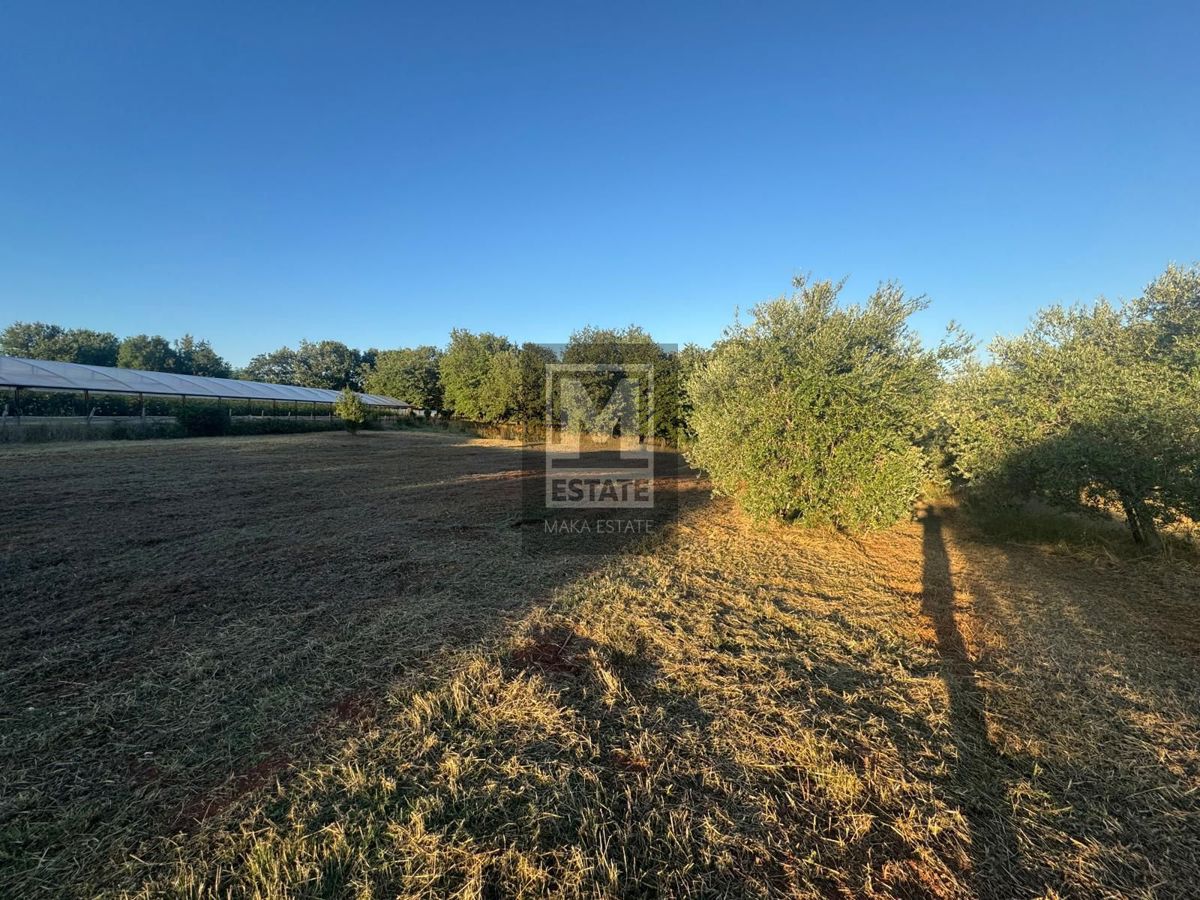 Kaštelir, Tadini - Terreno con permesso di costruzione!