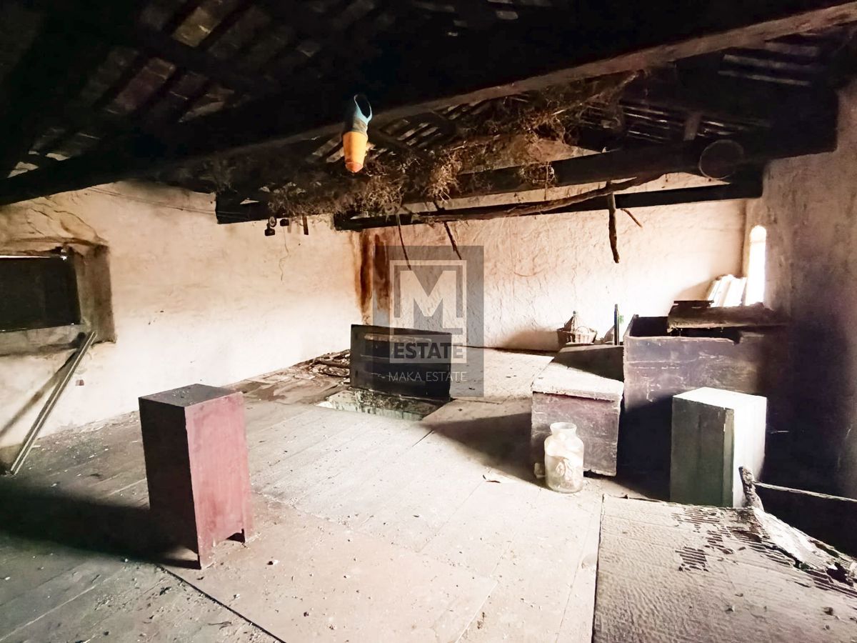 Parenzo, dintorni, Due case da ristrutturare con giardino