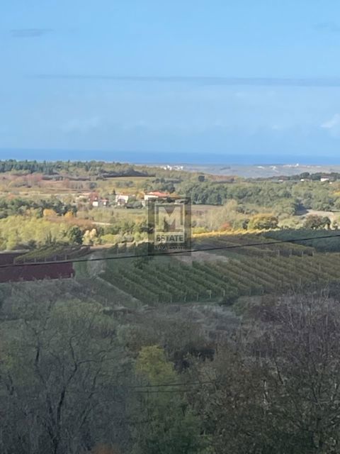 Parenzo, dintorni, Casa di lusso con vista mare