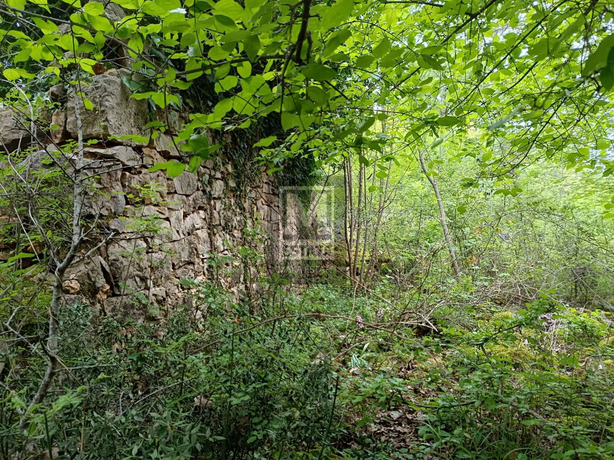 Parenzo, dintorni, Rudere appartato con un grande appezzamento di terreno