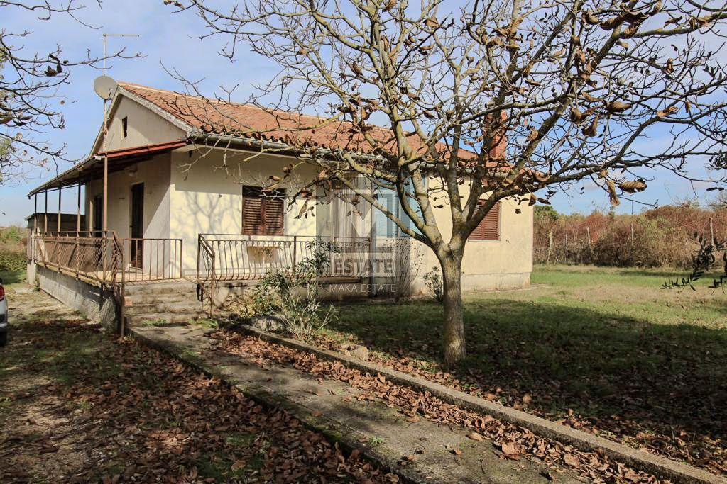 Parenzo, dintorni, Piano terra con ampio cortile