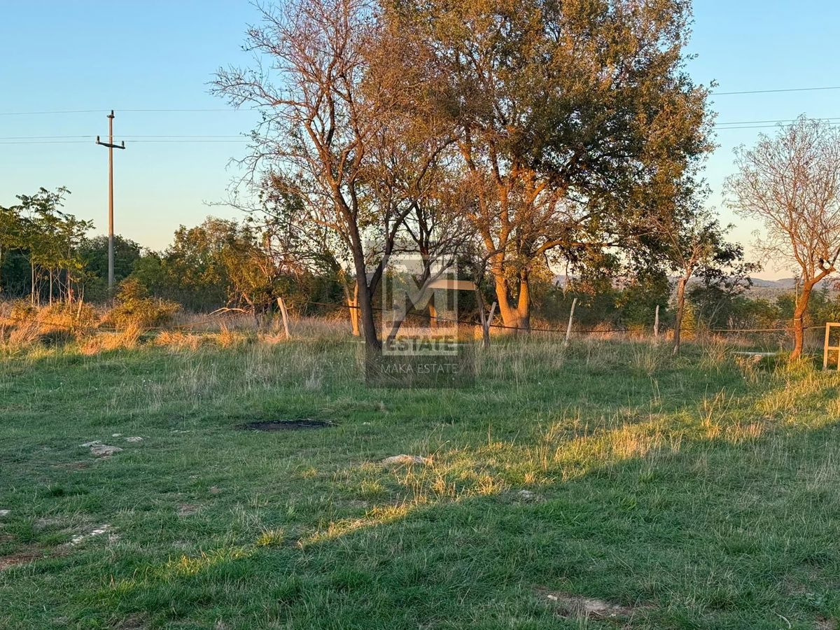 Poreč, dintorni, Terreno agricolo con vista mare!