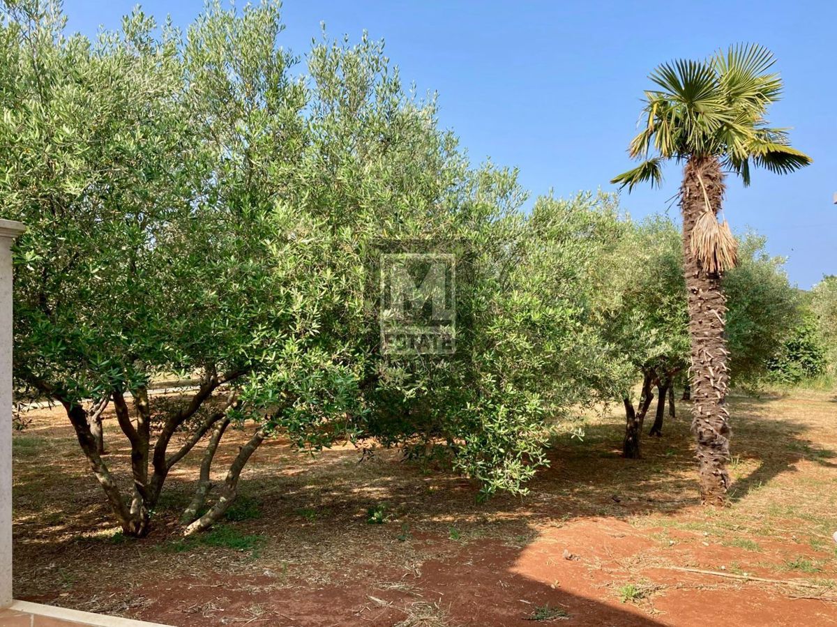 Orsera, dintorni, splendida casa a 100 metri dalla spiaggia