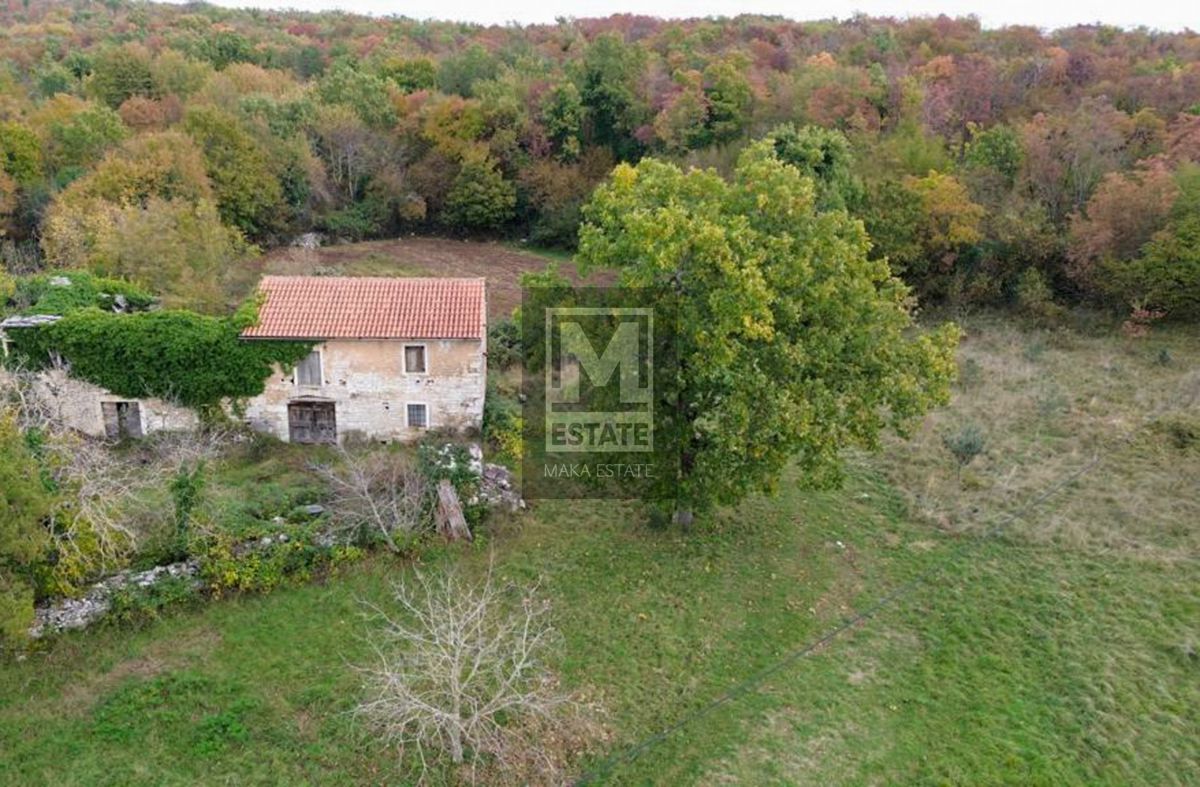 Istria, Oprtalj, tenuta con ampio terreno e vista mare!
