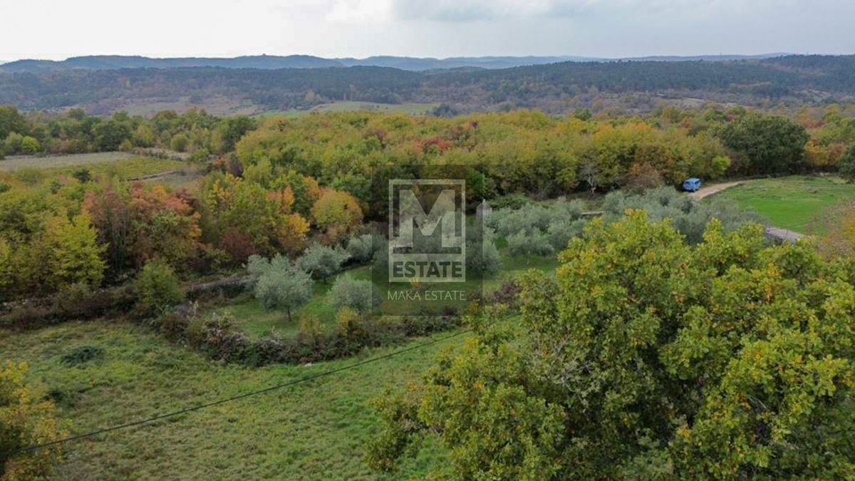 Istria, Oprtalj, tenuta con ampio terreno e vista mare!