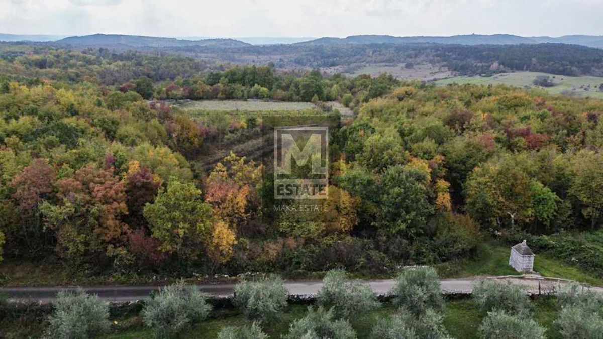 Istria, Oprtalj, tenuta con ampio terreno e vista mare!