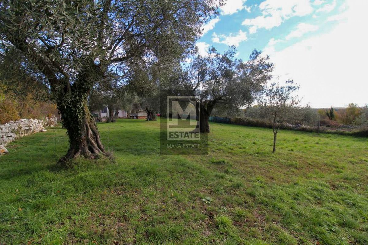 Kanfanar, dintorni, casa bifamiliare con ampio giardino!