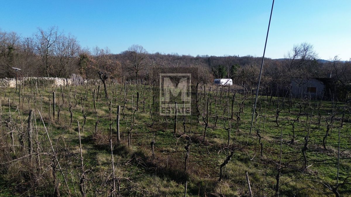 Parenzo, dintorni, Terreno edificabile in una posizione tranquilla