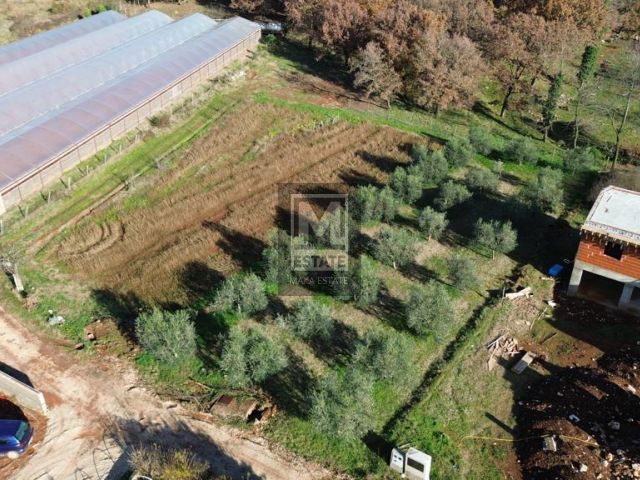 Parenzo, Kaštelir-Tadini, 2 Terreno edificabile con permesso di costruire per due case e terreno agricolo!!