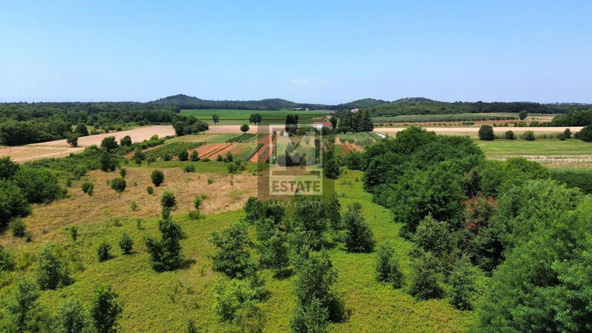 Parenzo, dintorni, Splendido terreno agricolo!