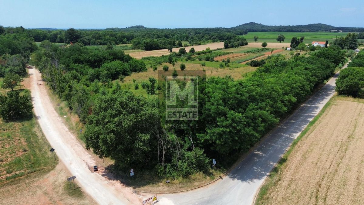 Parenzo, dintorni, Splendido terreno agricolo!