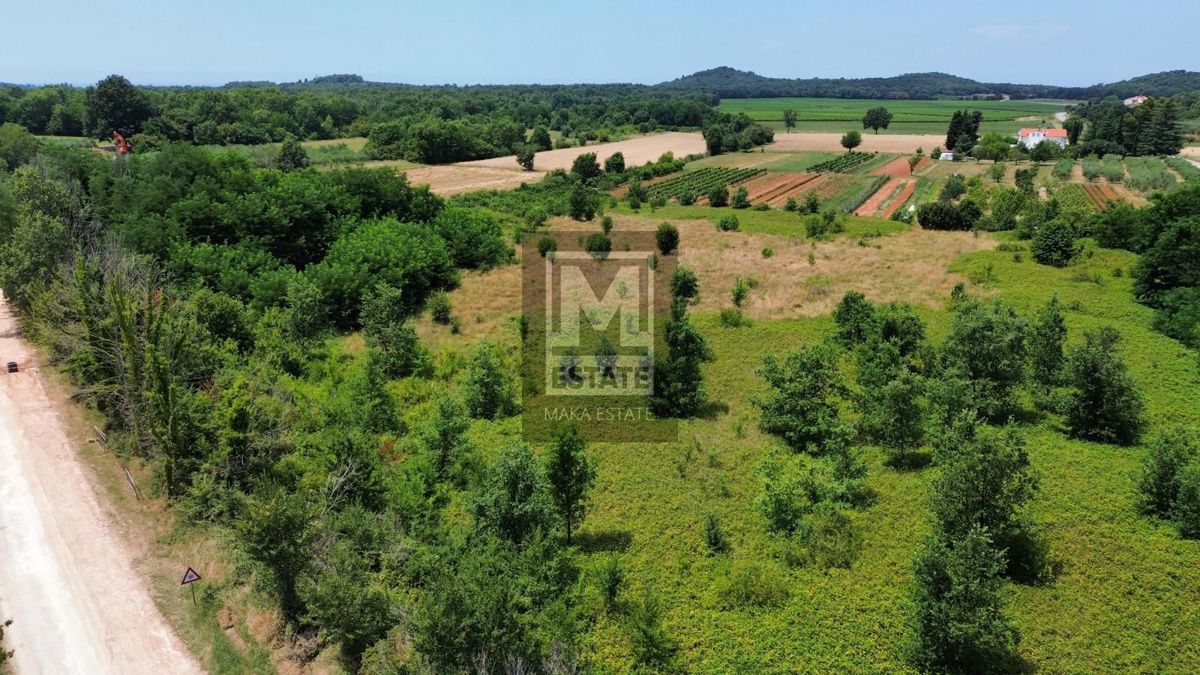 Parenzo, dintorni, Splendido terreno agricolo!