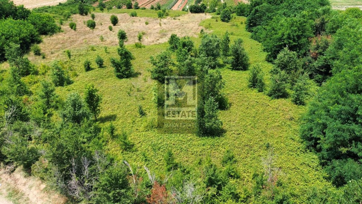 Parenzo, dintorni, Splendido terreno agricolo!