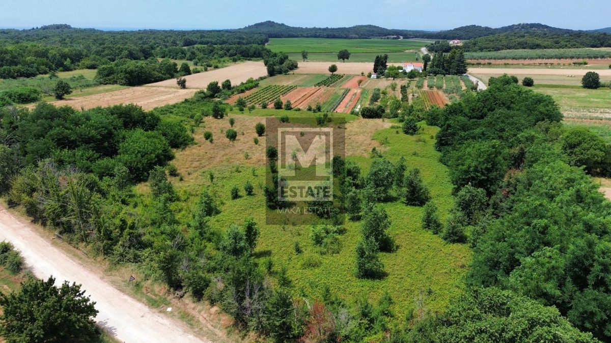 Parenzo, dintorni, Splendido terreno agricolo!