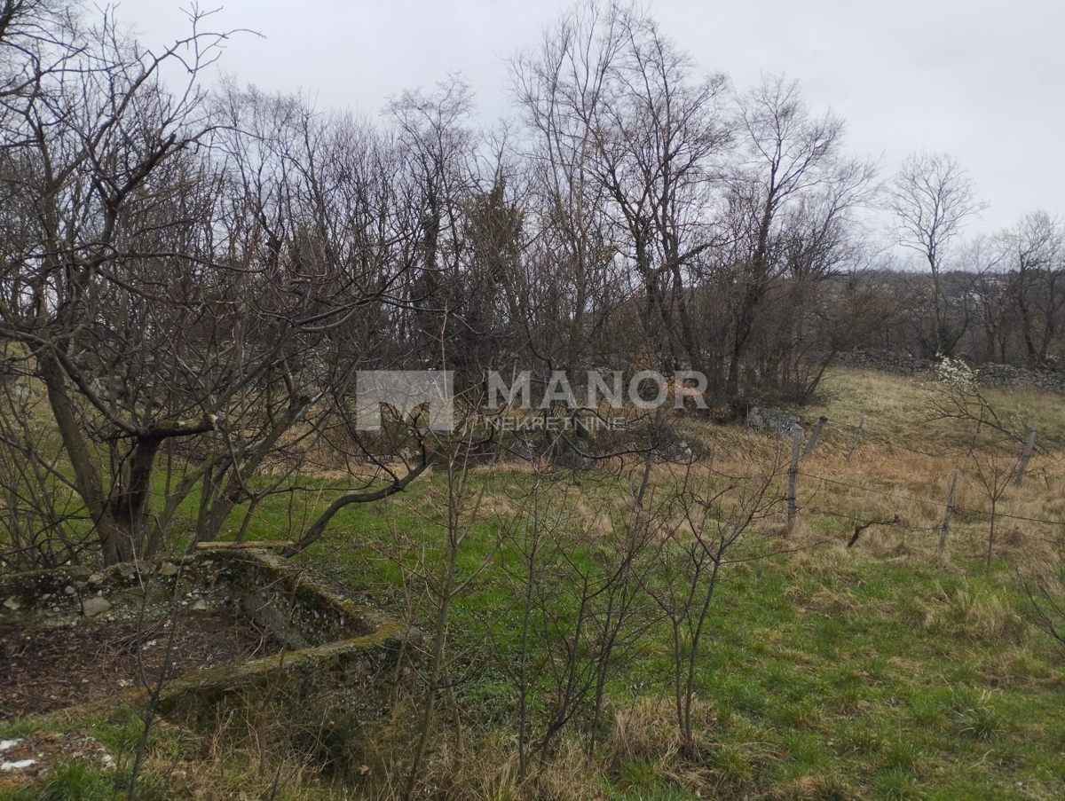 Terreno edificabile Buzdohanj, Čavle, 5.000m2