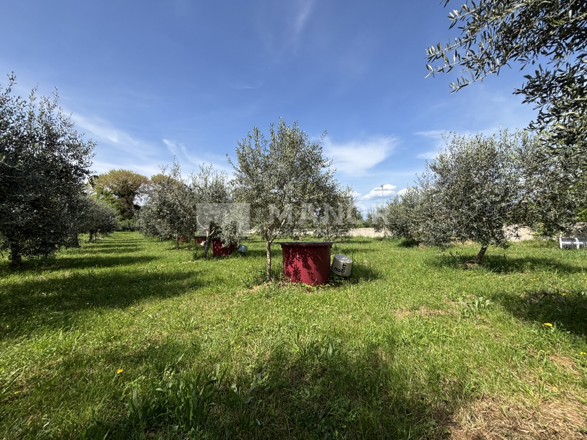 ISOLA DI KRK, MALINSKA – Casa vacanze su una proprietà vicino al mare