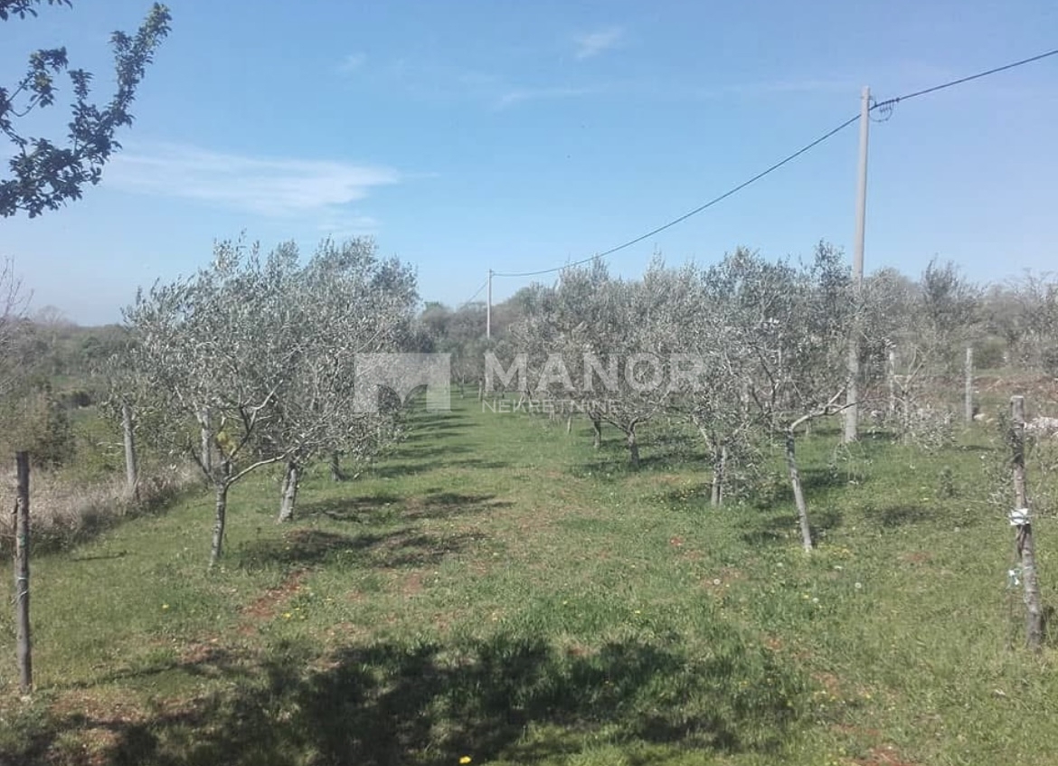 Terreno Oprtalj, 1.850m2