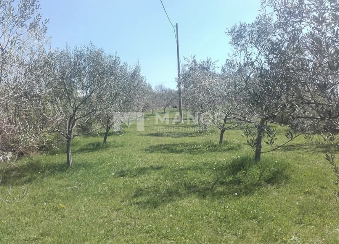 Terreno Oprtalj, 1.850m2