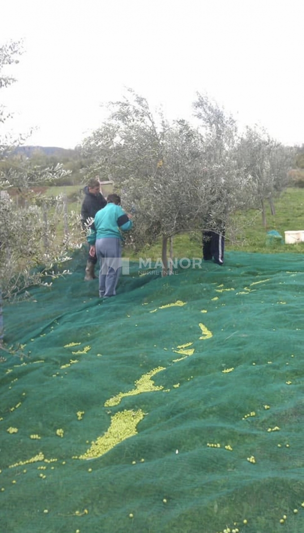 Terreno Oprtalj, 1.850m2