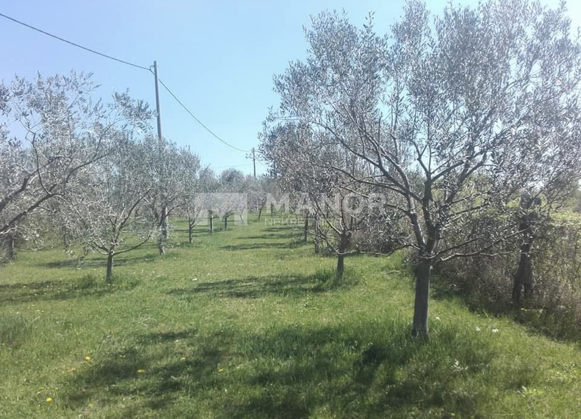 Terreno Oprtalj, 1.850m2