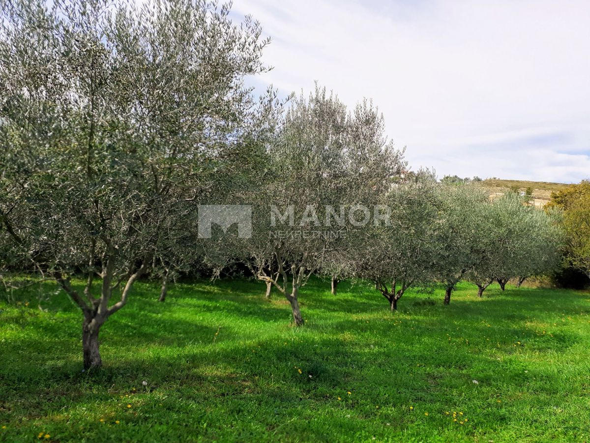 Casa Mastelići, Vižinada, 358m2