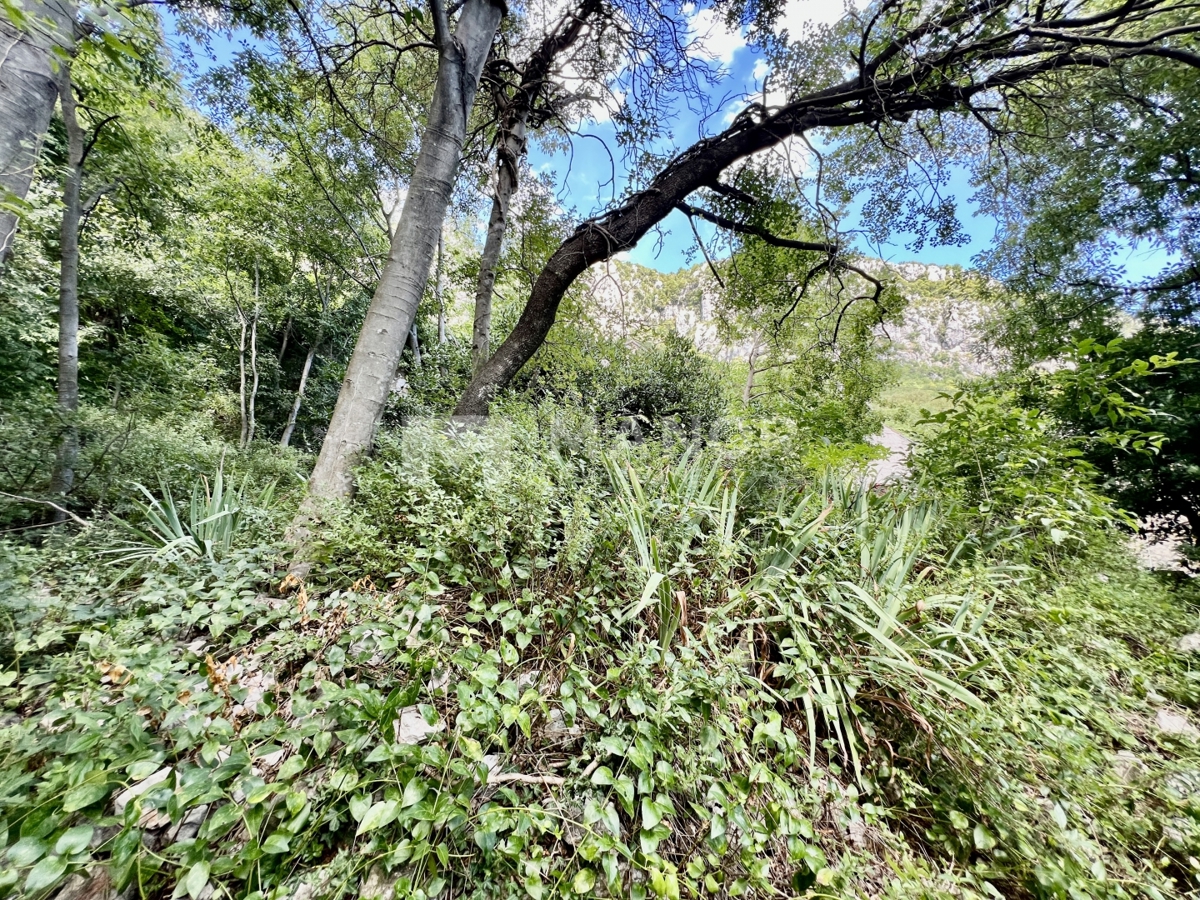 Casa Bribir, Vinodolska Općina, 170m2