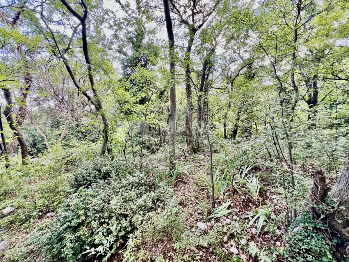 Casa Bribir, Vinodolska Općina, 170m2