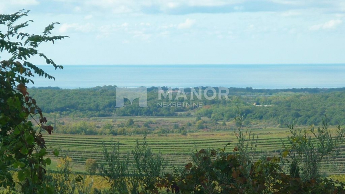 Terreno edificabile Buje, 1.473m2