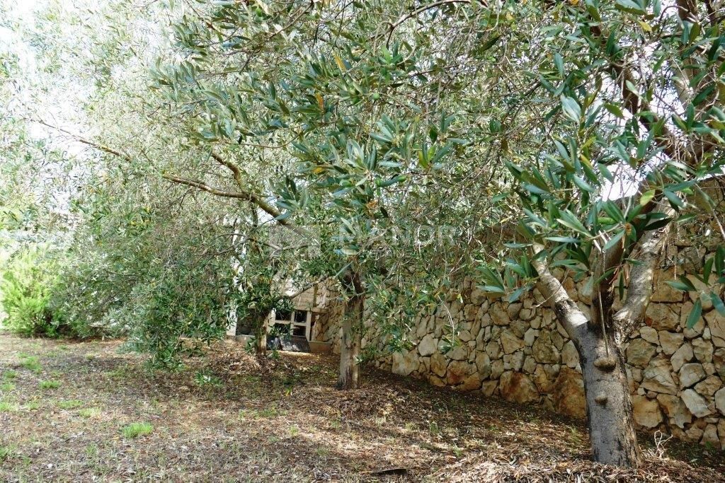 Terreno Novalja, 560m2