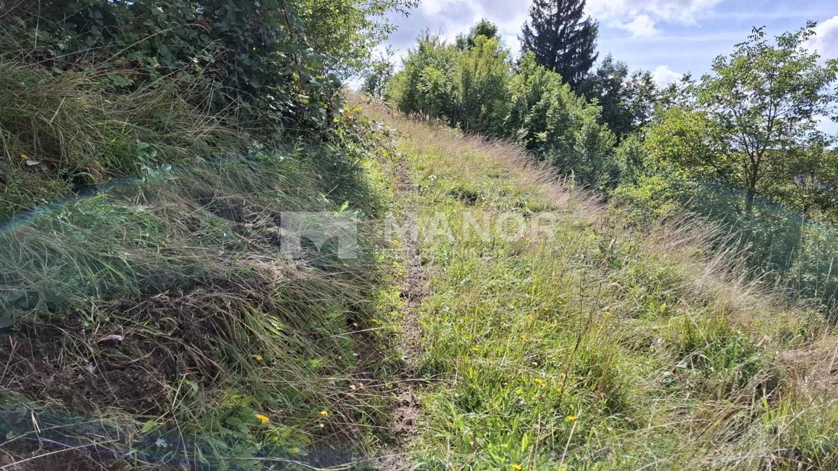 Terreno Kupjak, Ravna Gora, 8.115m2