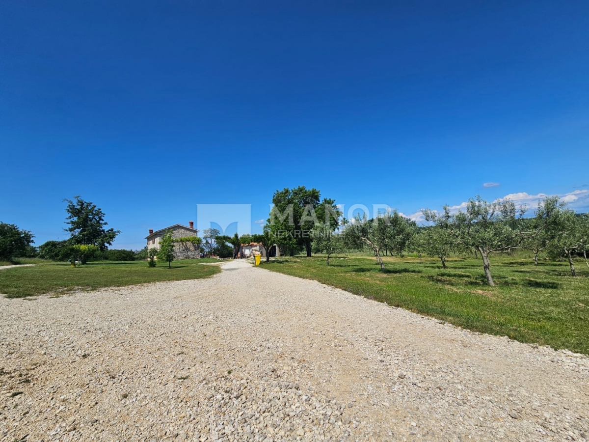 ISTRIA, CANFANARO – Autentica tenuta istriana con ampio terreno – un connubio di tradizione e potenziale
