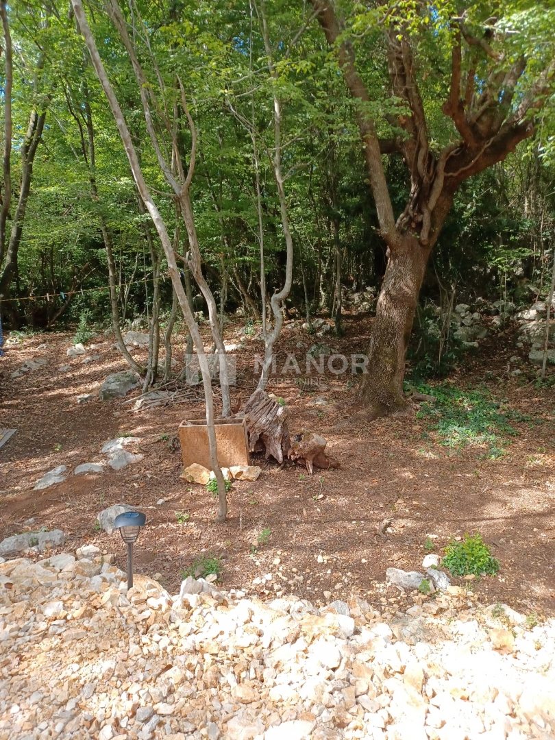 Kras, Dobrinj, 770m2