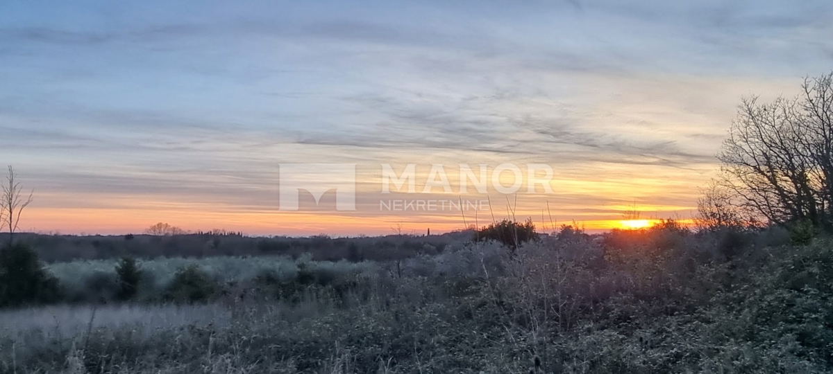 Terreno edificabile Brtonigla, 2.195m2