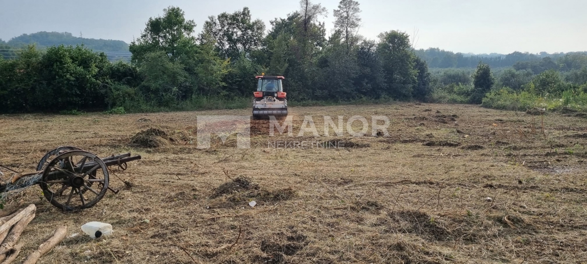 Terreno edificabile Brtonigla, 2.195m2