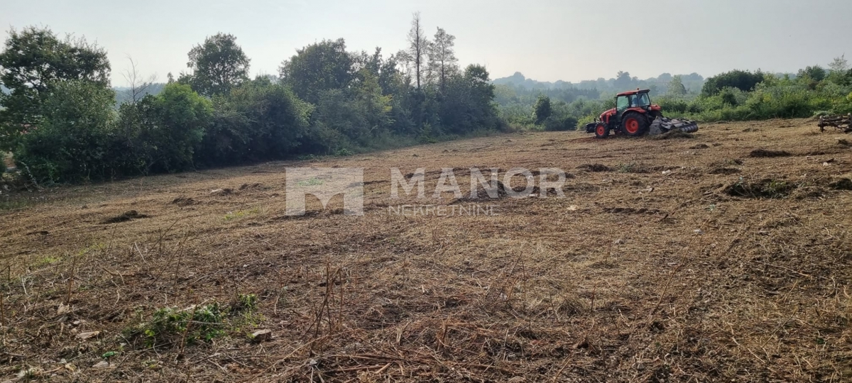 Terreno edificabile Brtonigla, 2.195m2