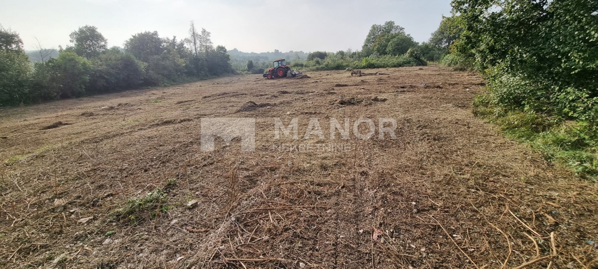 Terreno edificabile Brtonigla, 2.195m2