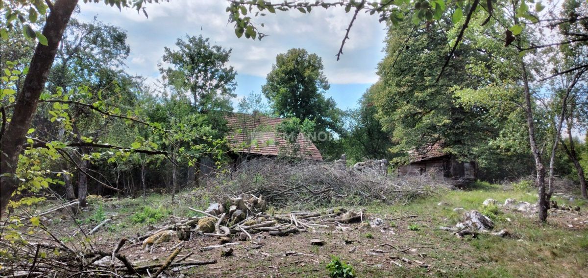 Dokmanovići, Vrbovsko, 91.291m2