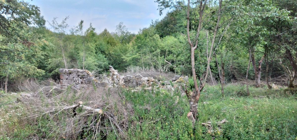 Dokmanovići, Vrbovsko, 91.291m2