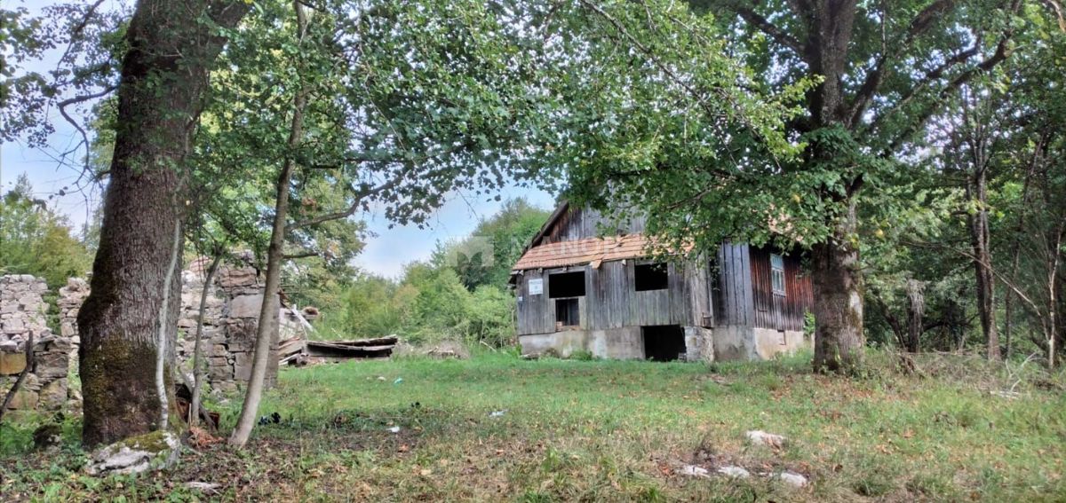 Dokmanovići, Vrbovsko, 91.291m2