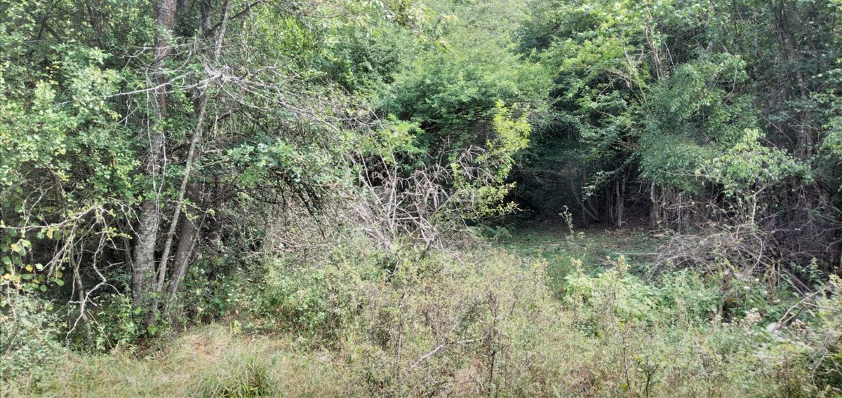 Dokmanovići, Vrbovsko, 91.291m2