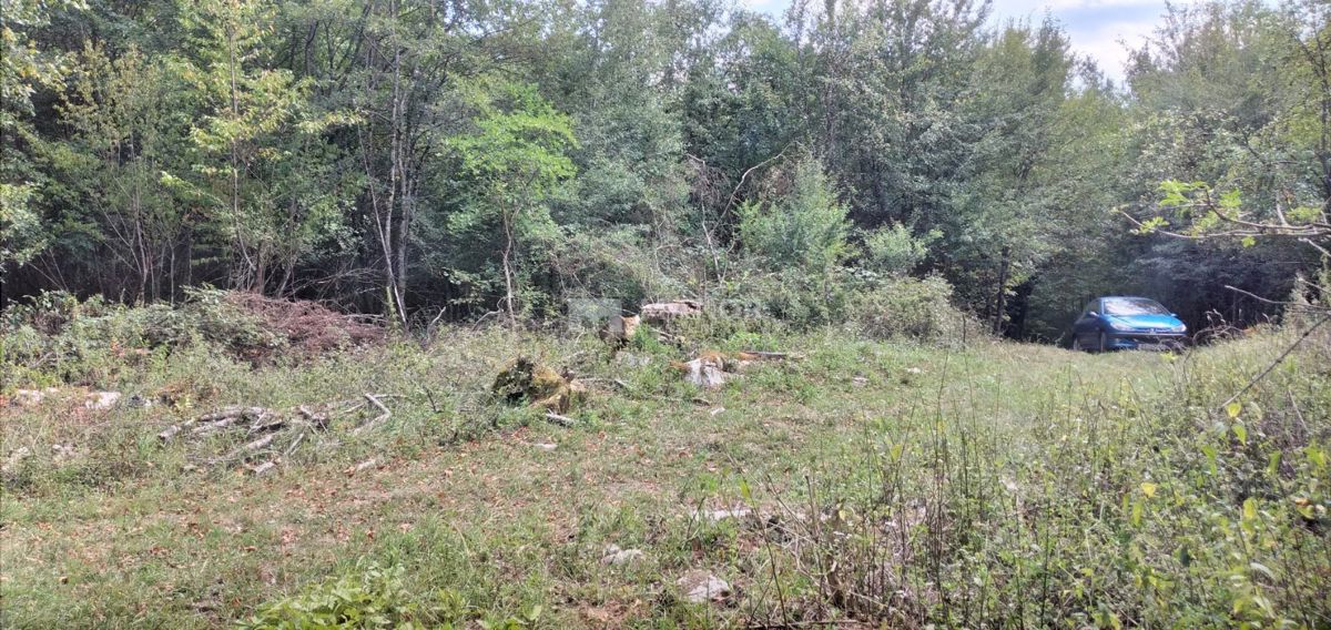 Dokmanovići, Vrbovsko, 91.291m2