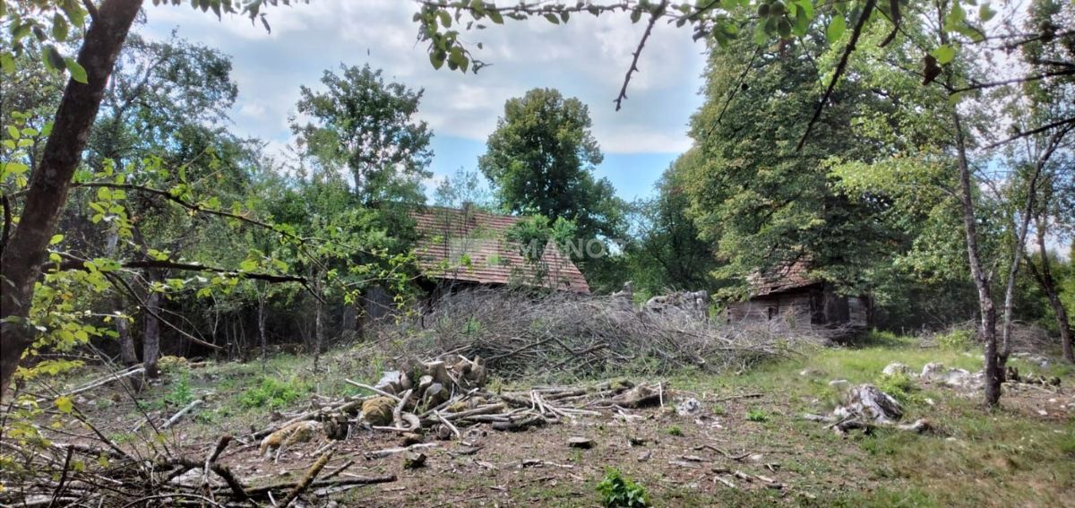 Dokmanovići, Vrbovsko, 91.291m2