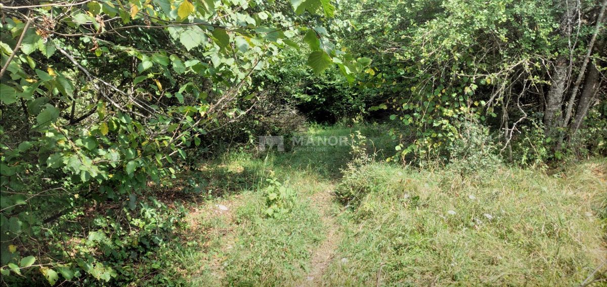 Dokmanovići, Vrbovsko, 91.291m2